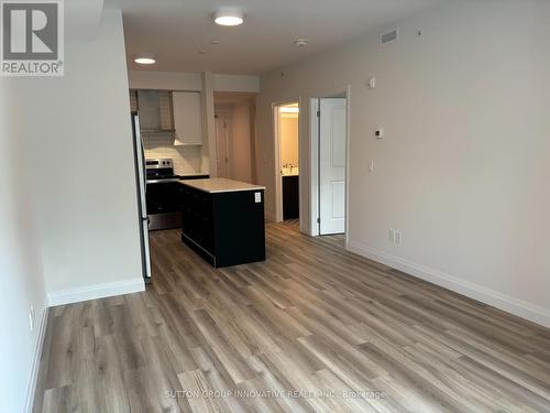 153 Wilson Street W, Hamilton, ON - Indoor Photo Showing Kitchen