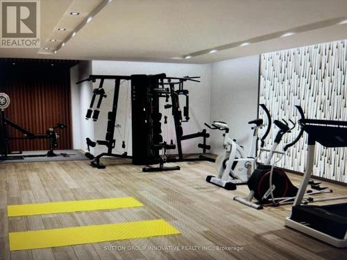 153 Wilson Street W, Hamilton, ON - Indoor Photo Showing Gym Room