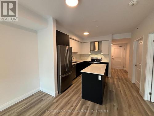 153 Wilson Street W, Hamilton, ON - Indoor Photo Showing Kitchen