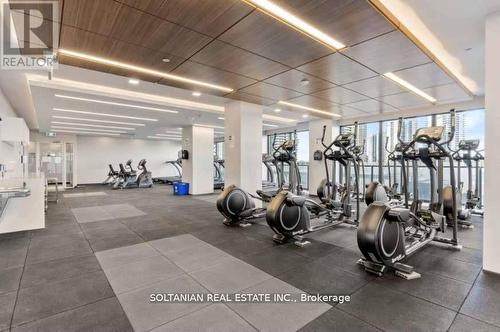 508 - 20 Shore Breeze Drive, Toronto (Mimico), ON - Indoor Photo Showing Gym Room