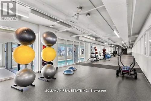 508 - 20 Shore Breeze Drive, Toronto (Mimico), ON - Indoor Photo Showing Gym Room