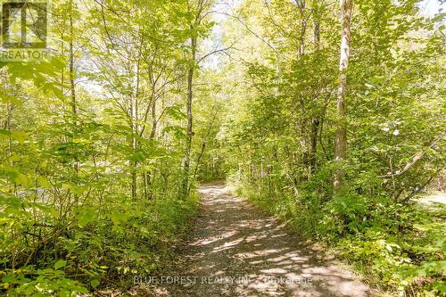 Lot 69 25Th Line, Algonquin Highlands, ON 