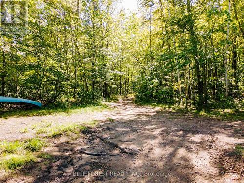 Lot 69 25Th Line, Algonquin Highlands, ON 