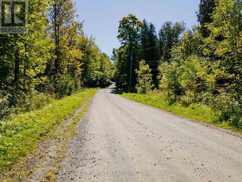 Lot 69 25Th Line, Algonquin Highlands, ON 