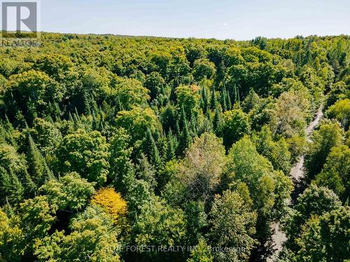 Lot 69 25Th Line, Algonquin Highlands, ON 