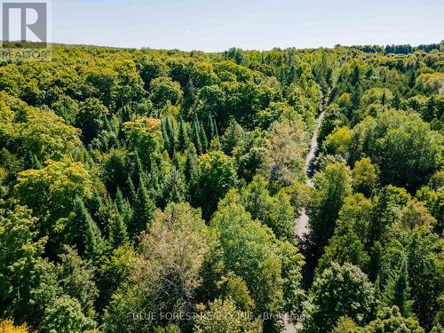 Lot 69 25Th Line, Algonquin Highlands, ON 