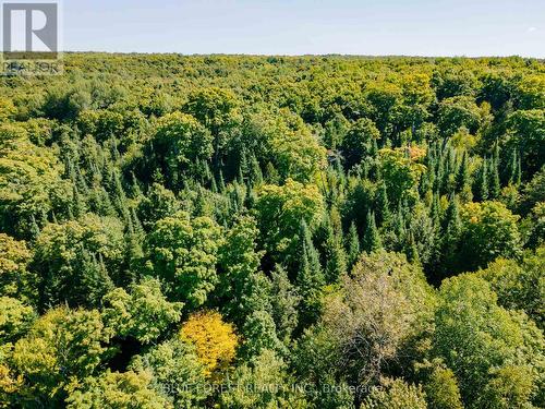 Lot 69 25Th Line, Algonquin Highlands, ON 