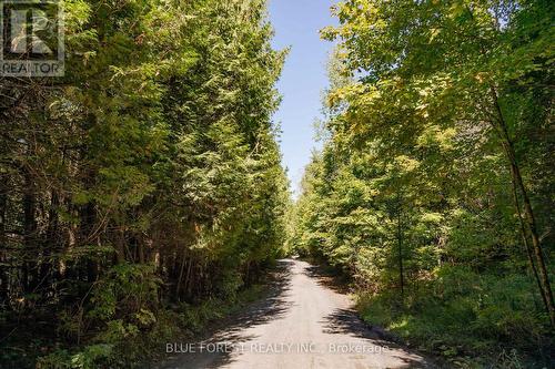 Road view - Lot 69 25Th Line, Algonquin Highlands, ON 