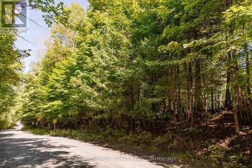 Road view - Lot 69 25Th Line, Algonquin Highlands, ON 