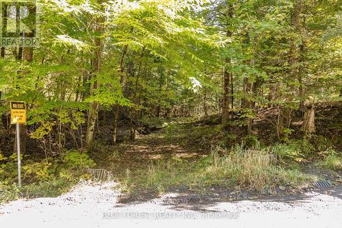 Lots of trees - Lot 69 25Th Line, Algonquin Highlands, ON 