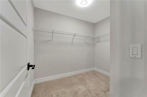 117 Freedom Crescent, Hamilton, ON - Indoor With Storage