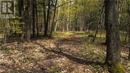 00 Old Mine Road, Cobden, ON 