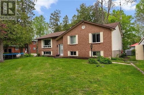 Mature trees - 872 Archibald Street, Braeside, ON - Outdoor