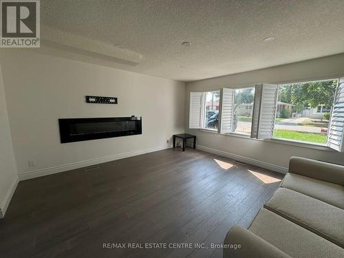 62 Elkington Drive, Kitchener, ON - Indoor Photo Showing Living Room With Fireplace