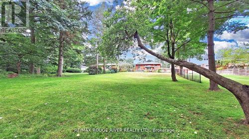 441 Rouge Hills Drive, Toronto (Rouge), ON - Outdoor