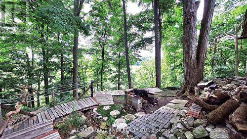 441 Rouge Hills Drive, Toronto (Rouge), ON - Outdoor With Deck Patio Veranda