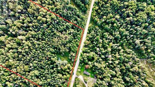 0 Williams Lake Road, Hastings Highlands, ON 