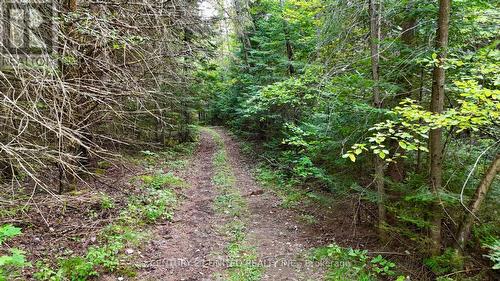 0 Williams Lake Road, Hastings Highlands, ON 