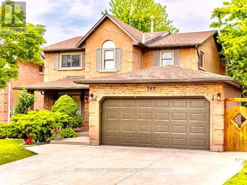 Bsmt - 365 Celtic Drive, Hamilton, ON - Outdoor