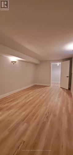 Bsmt - 365 Celtic Drive, Hamilton, ON - Indoor Photo Showing Other Room