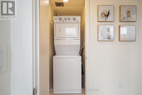 409 - 10 Deerlick Court, Toronto (Parkwoods-Donalda), ON - Indoor Photo Showing Laundry Room