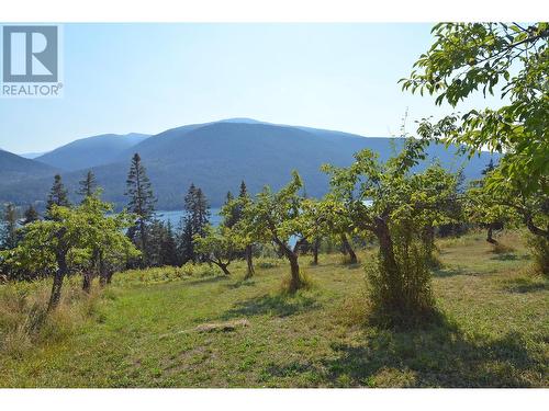 Lot 2  3A Highway, Nelson, BC 