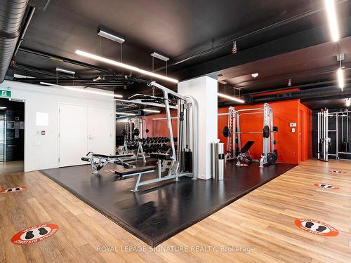 805-383 Sorauren Ave, Toronto, ON - Indoor Photo Showing Gym Room