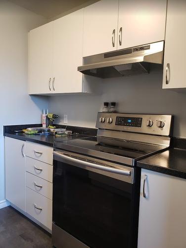 Cuisine - 302-138 Rue De Lausanne, Gatineau (Gatineau), QC - Indoor Photo Showing Kitchen