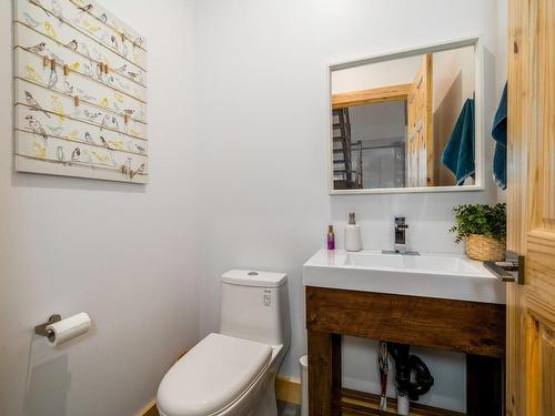 Powder room - 250 Rue De La Station, Neuville, QC - Indoor Photo Showing Bathroom