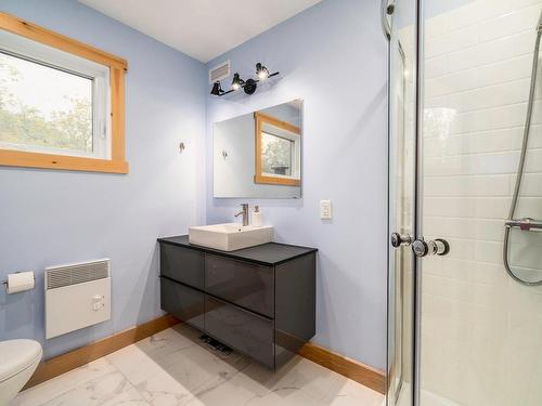 Ensuite bathroom - 250 Rue De La Station, Neuville, QC - Indoor Photo Showing Bathroom