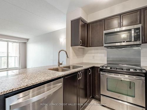 317-60 Via Rosedale, Brampton, ON - Indoor Photo Showing Kitchen With Double Sink With Upgraded Kitchen