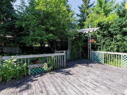 Backyard - 282 Av. Martin, Dorval, QC - Outdoor