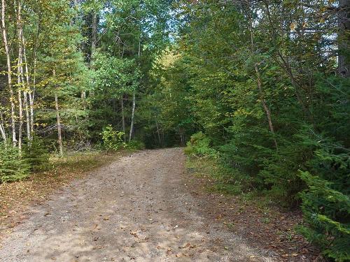 Autre - 985 Ch. Des Rives, Notre-Dame-De-La-Merci, QC - Outdoor