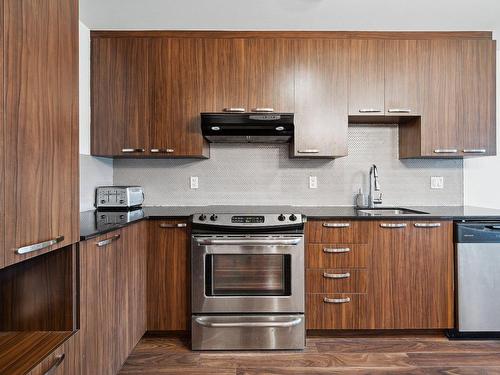 Kitchen - 403-4550 Rue Hochelaga, Montréal (Mercier/Hochelaga-Maisonneuve), QC - Indoor Photo Showing Kitchen With Upgraded Kitchen