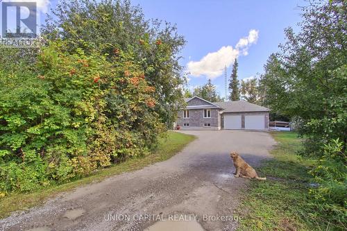 22823 Weirs Side Road, Georgina, ON - Outdoor