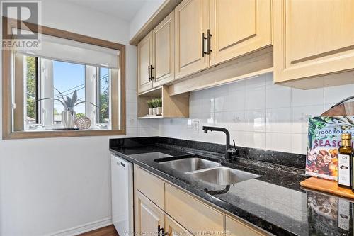 3218 Woodlawn Avenue, Windsor, ON - Indoor Photo Showing Kitchen With Double Sink