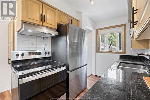 3218 Woodlawn Avenue, Windsor, ON - Indoor Photo Showing Kitchen With Double Sink