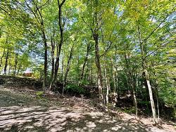 Rue des Fauvettes  Gore, QC J0V 1K0