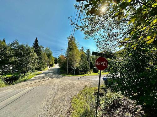 Street - Rue Des Fauvettes, Gore, QC 