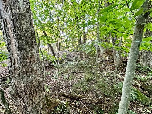 Overall view - Rue Des Fauvettes, Gore, QC 