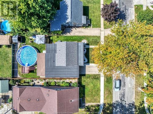 12 King Street, Leamington, ON - Outdoor With Above Ground Pool