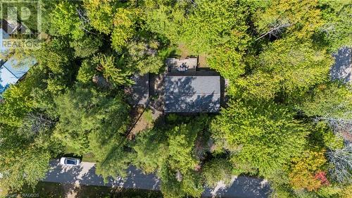 Nestled in the trees - 7 Jay Street, Saugeen Shores, ON - Outdoor