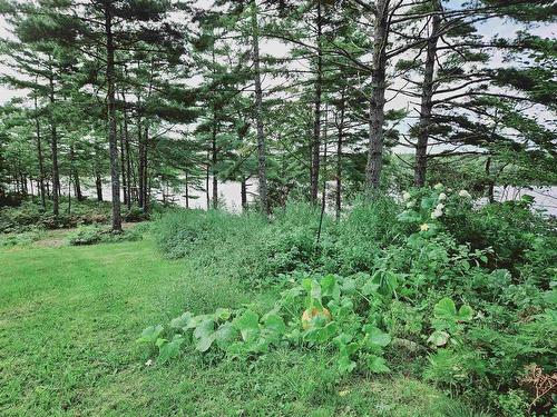 236 Canoe Lake Estates Road, East Quinan, NS 