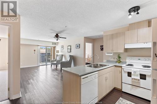 90 Murray Street Unit# 201, Amherstburg, ON - Indoor Photo Showing Kitchen With Double Sink