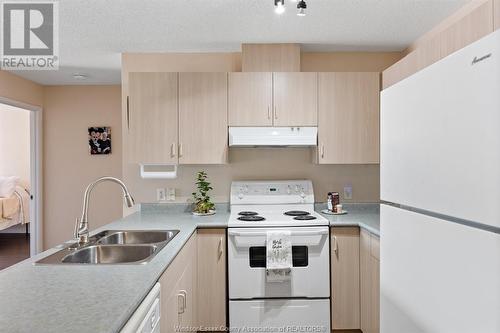 90 Murray Street Unit# 201, Amherstburg, ON - Indoor Photo Showing Kitchen With Double Sink