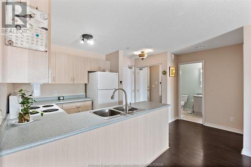 90 Murray Street Unit# 201, Amherstburg, ON - Indoor Photo Showing Kitchen With Double Sink