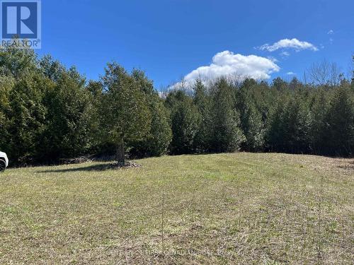 Lot 10 10Th Sideroad Ndr, West Grey, ON 