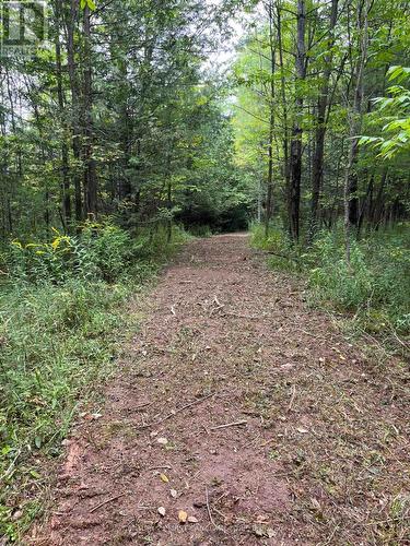 Lot 10 10Th Sideroad Ndr, West Grey, ON 