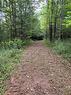 Lot 10 10Th Sideroad Ndr, West Grey, ON 