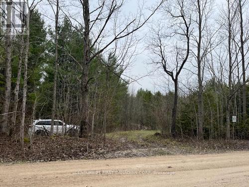 Lot 10 10Th Sideroad Ndr, West Grey, ON 